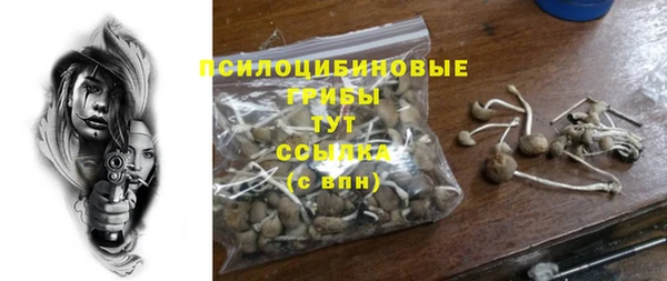 метадон Абаза