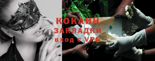 индика Абинск