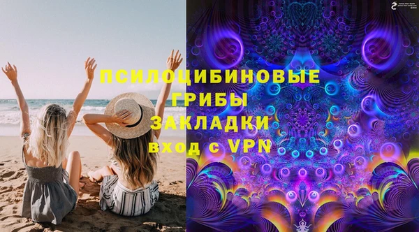 прущие крисы Пересвет