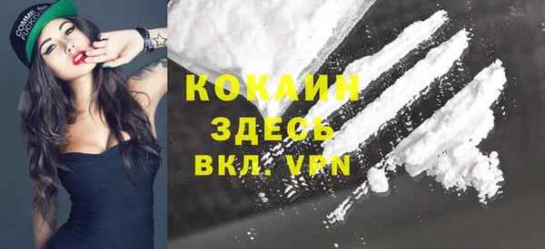 индика Абинск
