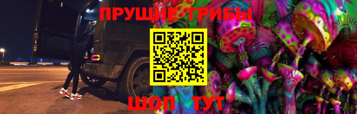 Псилоцибиновые грибы Psilocybe  Галлюциногенные грибы Psilocybe  где продают   Шали  Вход с VPN 
